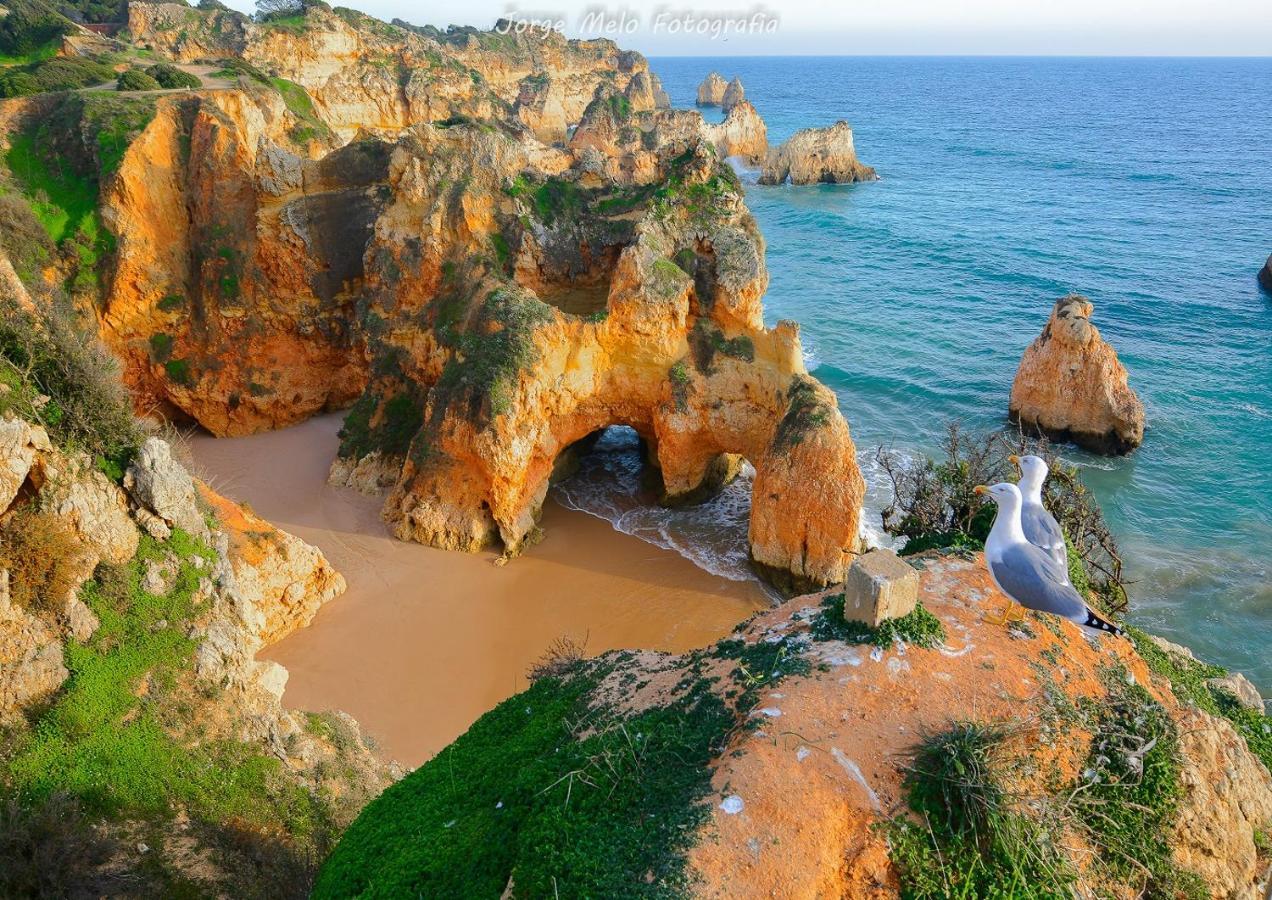 Vila Mos Lagos Dış mekan fotoğraf